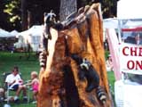 Stump art raccoons, City Park, Coeur d'Alene, Idaho.