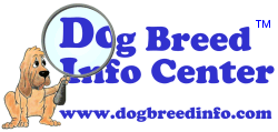 Dog Breed Info